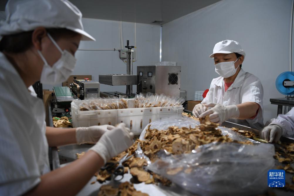 澳门伟德赌博